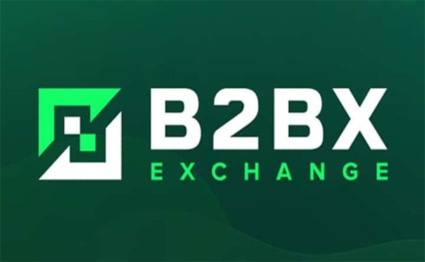 b2bx